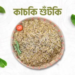 কাচকি শুঁটকি