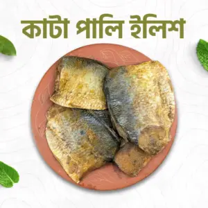 কাটা পালি ইলিশ