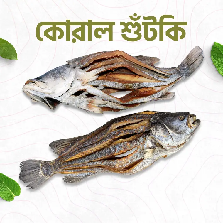 কোরাল শুটকি