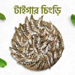 টাইগার চিংড়ি
