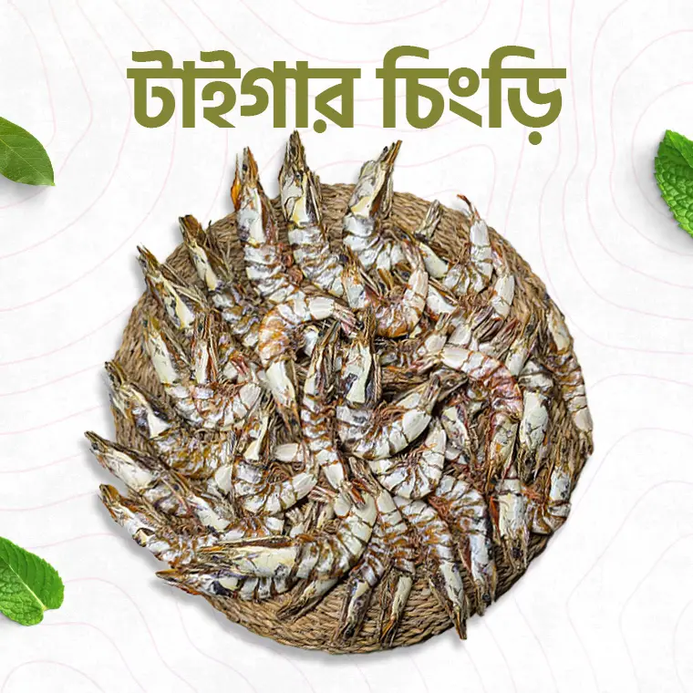 টাইগার চিংড়ি