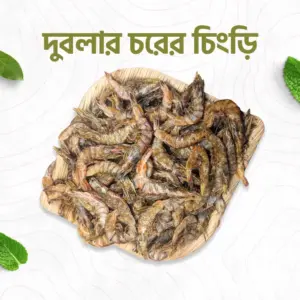দুবলার চরের চিংড়ি