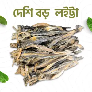 দেশি বড় লইট্টা