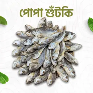 পোপা শুটকি