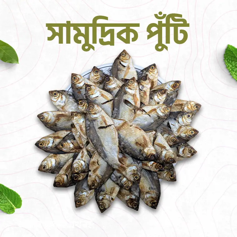 সামুদ্রিক পুটি