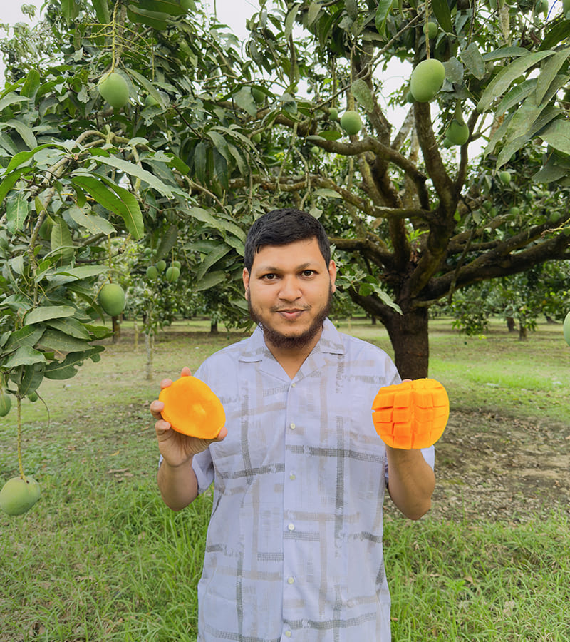 mango