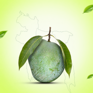 হিমসাগর আম- 10 কেজি